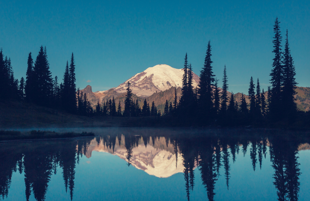 Mt Rainier Hikes - The 7 Best Trails to Try
