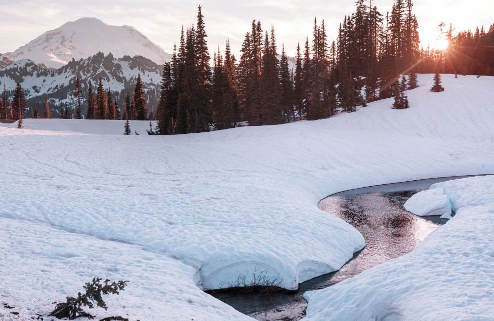 My Final Thoughts My Final Thoughts