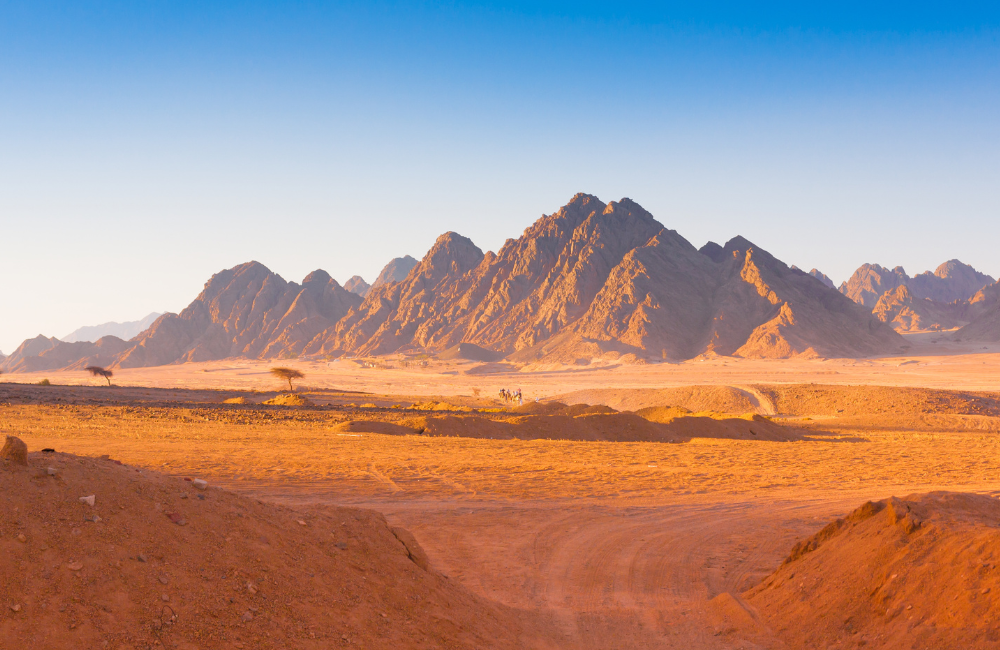 Safety, Security, and Common-Sense Rules (the Stuff that Matters) Safety, Security, and Common-Sense Rules (the Stuff that Matters)