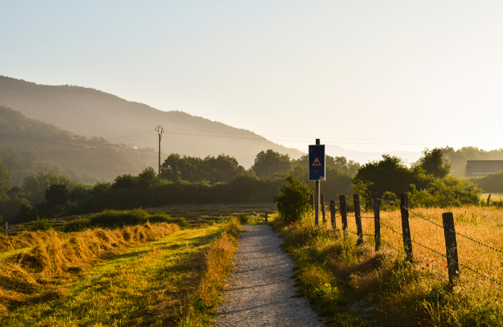 What Is The Camino de Santiago, Then What Is The Camino de Santiago, Then