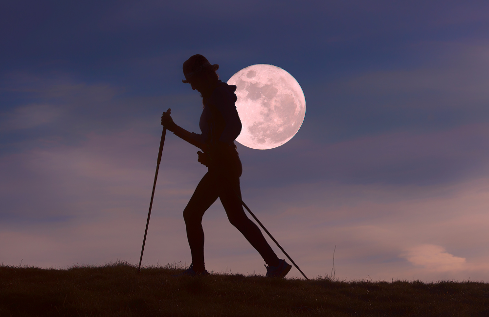 9. A small first aid kit 9. A small first aid kit