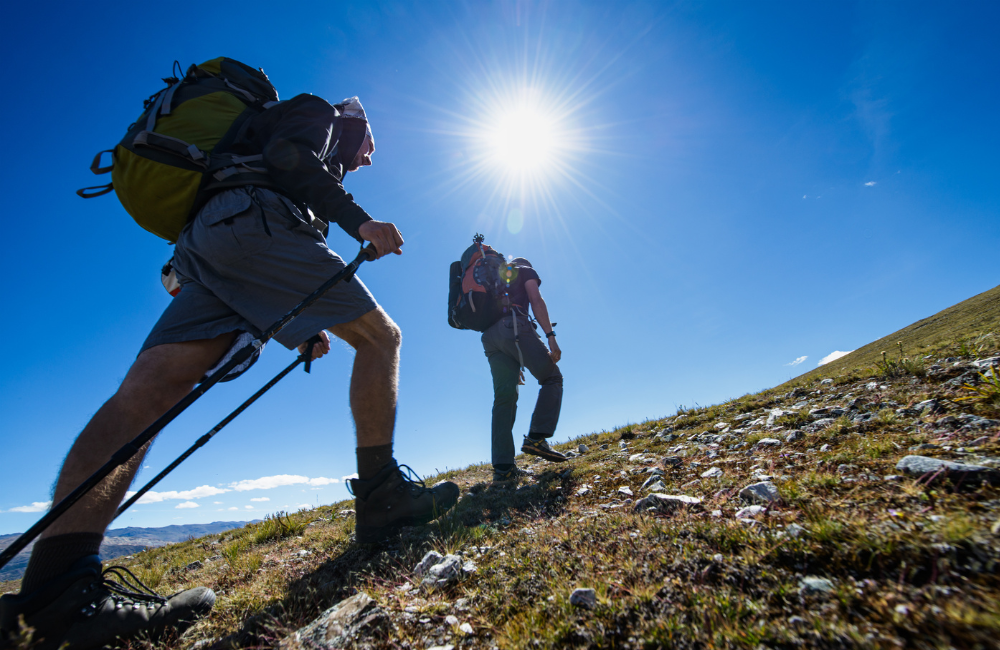 3. True Traveller_ Best for backpackers and people already travelling
