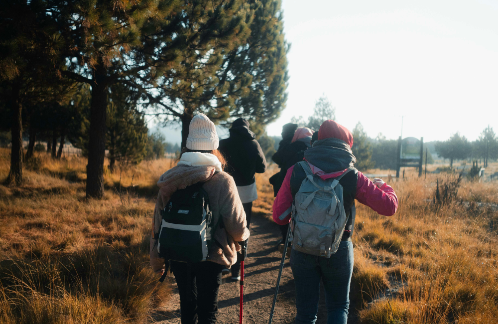 Which trekking insurance company should I choose