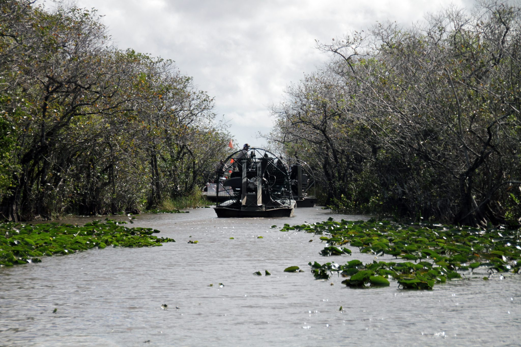 florida airboat