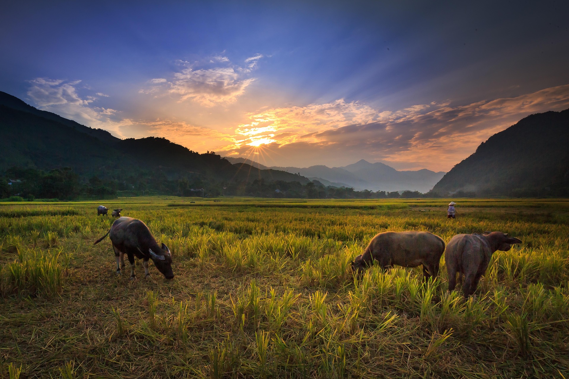 northern thailand 2